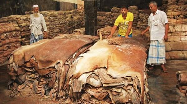 11 banks to distribute Tk 4.43b loans to facilitate rawhide trade