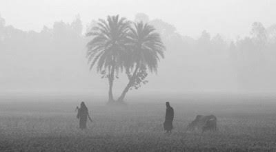 উত্তরাঞ্চলে শৈত্যপ্রবাহ শুরু