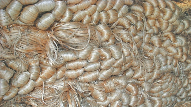 Jute export ban still haunts Khulna traders