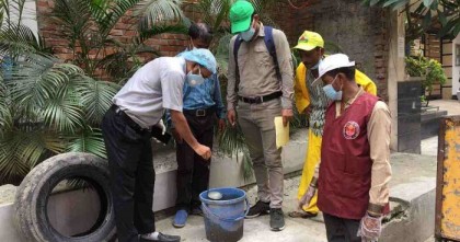 DNCC to launch anti-mosquito special drive Saturday: DNCC mayor