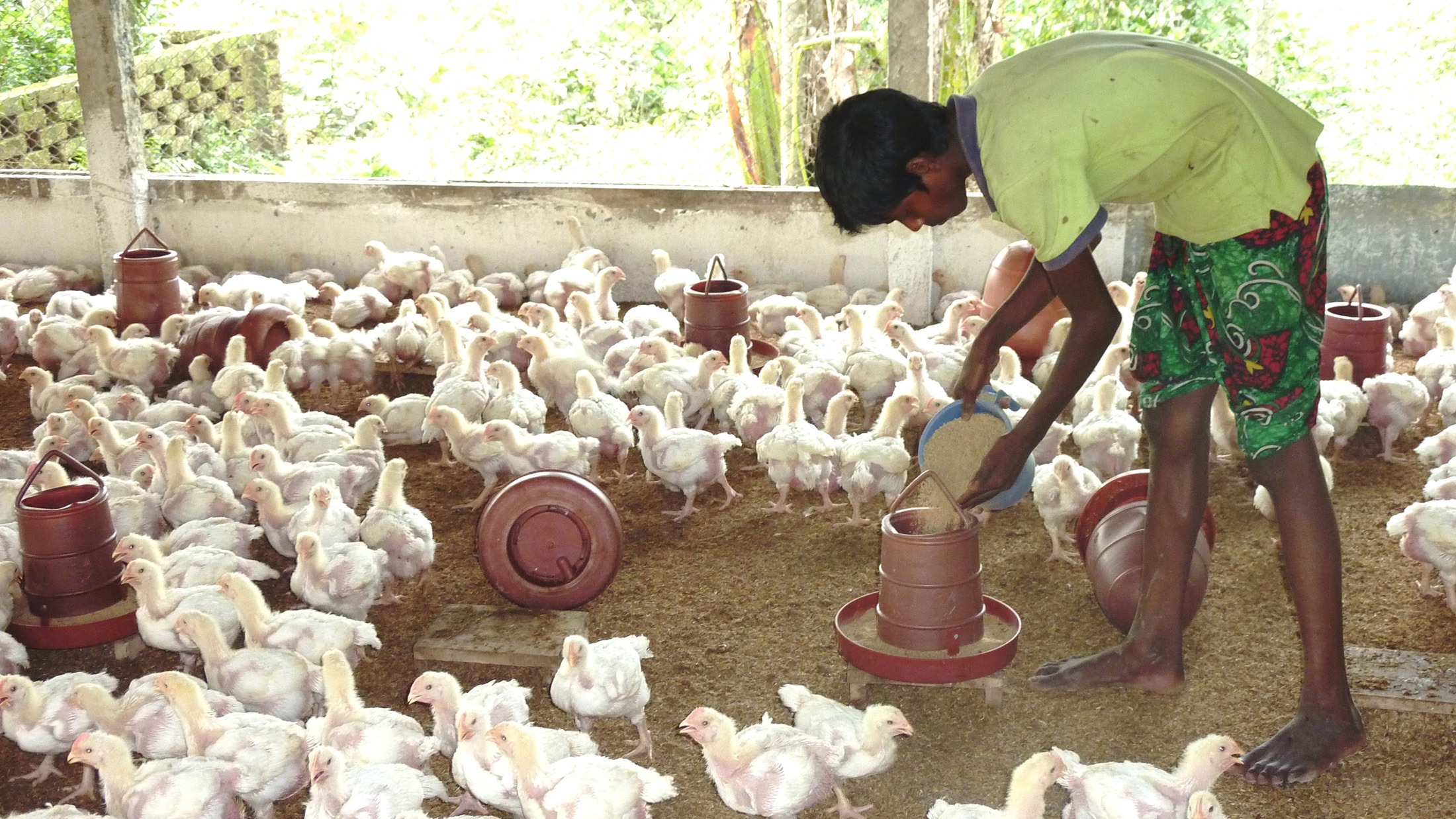 Poultry farmers seek suitable business atmosphere in Rajshahi