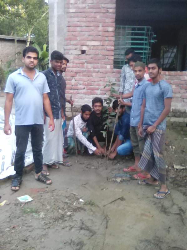 ভোলায় সবুজ আন্দোলনের পক্ষ থেকে বৃক্ষরোপন কর্মসূচি অনুষ্ঠিত