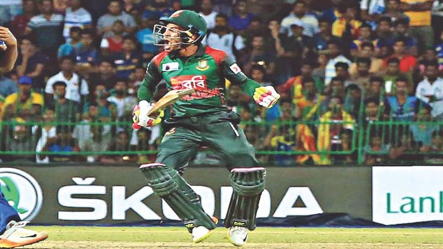 Tigers prepare to roar again