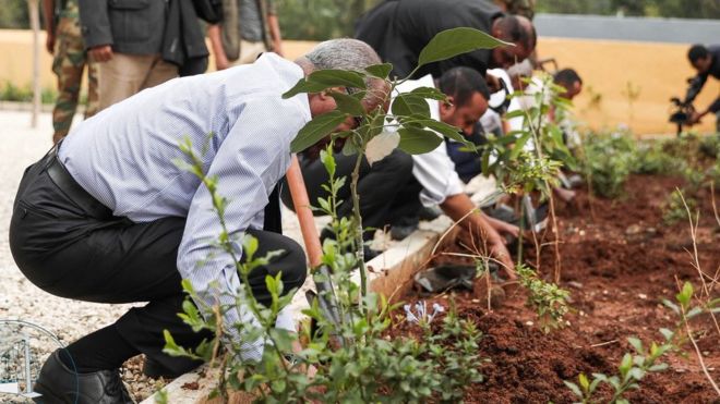 Bangladesh sets ambitious tree cover expansion goal