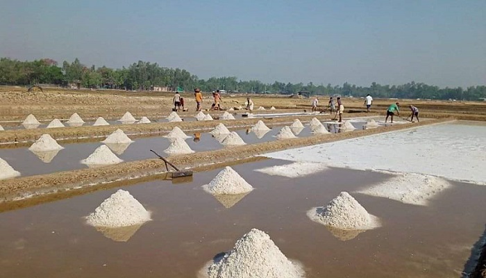 ৬৩ বছরের মধ্যে রেকর্ড লবণ উৎপাদন